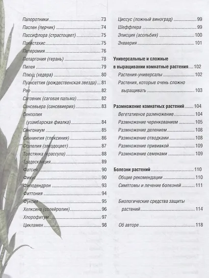 Все о комнатных растениях - фото 3