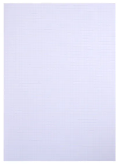 Тетрадь в клетку Hatber, "Metallic Серебро", А4, 96 листов - фото 2