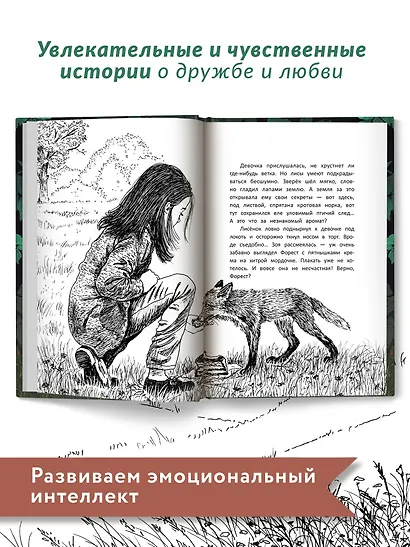 Бегущие по кромке леса - фото 8