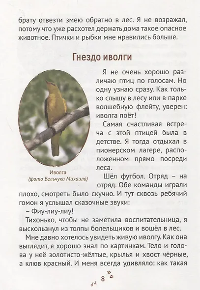 Пряники для слона - фото 5