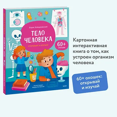 Тело человека. Открывай и изучай! - фото 4