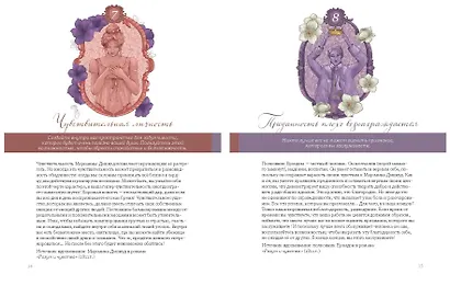 Джейн Остин. Оракул Сердца и Судьбы (колода карт и буклет в подарочном футляре) - фото 7