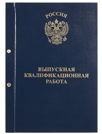 Обложка "Выпускная квалификационная работа" ассорти, 2 отверстия, бумвинил - фото 2