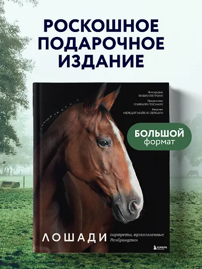 Лошади. Портреты, вдохновленные Рембрандтом. Эксклюзивный фотоальбом - фото 4