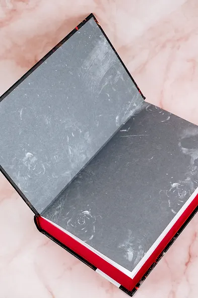 Охотясь на Аделин. Специальное издание - фото 7