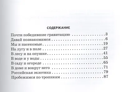 Насекомые - фото 2