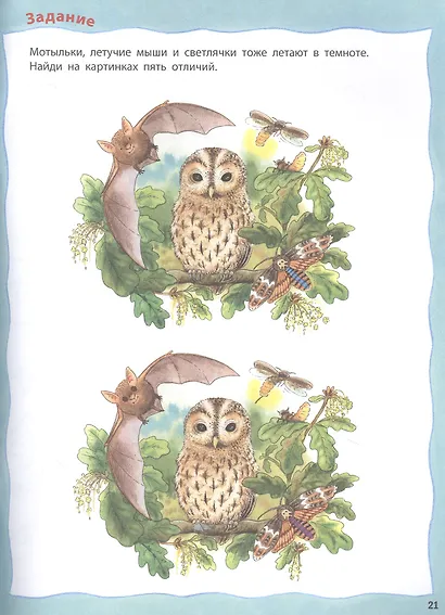 Как живут птицы? Развивающие задания + более 60 наклеек. 4-6 лет - фото 3