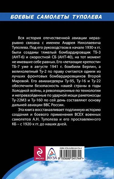 Боевые самолеты Туполева - фото 2