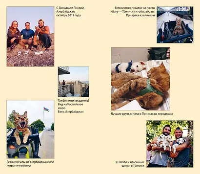 Мир Налы - фото 7