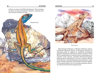 Рептилии. - фото 4