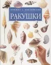 Ракушки: Книга с наклейками - фото 1