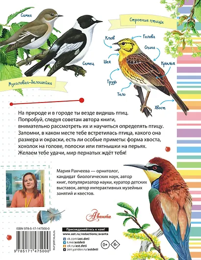 Птицы - фото 2