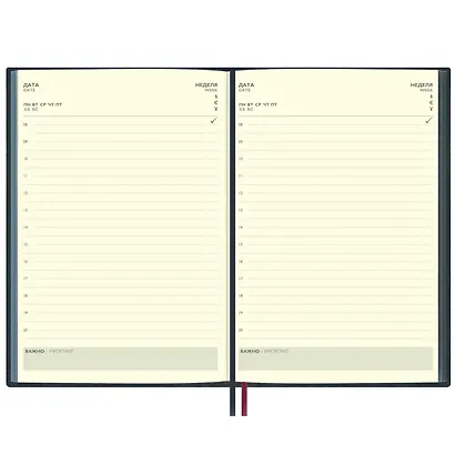 Ежедневник недат. А5+ 160л 175x245 "Шеврет" зеленый - фото 9