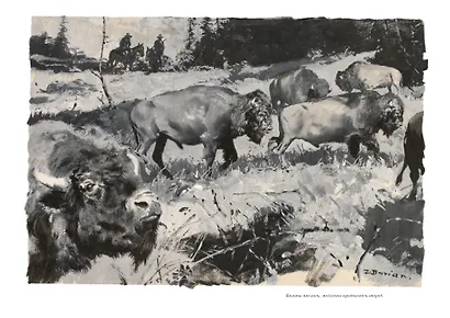 Виннету. Сын вождя - фото 6