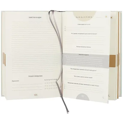 6 минут PURE. Ежедневник, который изменит вашу жизнь (продолжение, мятный) - фото 4