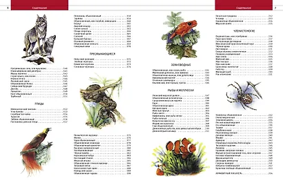 Животные. Все обитатели нашей планеты - фото 12