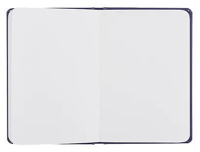 Скетчбук А5 64л "Van Gogh Сollection. Звёздня ночь" 100г/м2, тв.обложка - фото 3