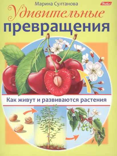 Удивительные превращения. Как живут и развиваются растения - фото 1