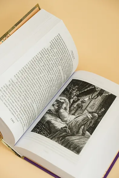 Нана. Земля - фото 15