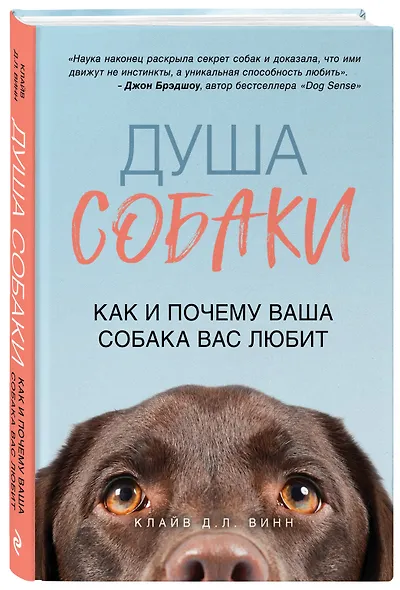 Душа собаки. Как и почему ваша собака вас любит - фото 3