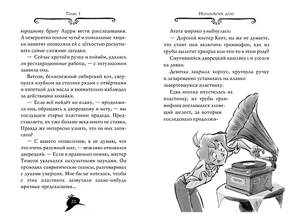 Агата Мистери. Книга 18. Путешествие на край земли - фото 14