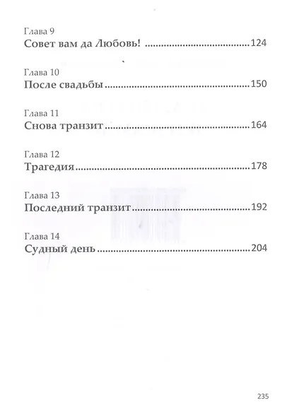 Транзитом в Израиль - фото 3