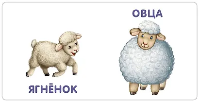 Книжки-картонки. Малыши и мамы - фото 3