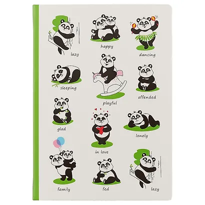 Блокнот «Panda`s life», 192 страницы, А5 - фото 1