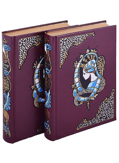 Собор Парижской Богоматери: Том I. Том II (комплект из 2 книг) - фото 1
