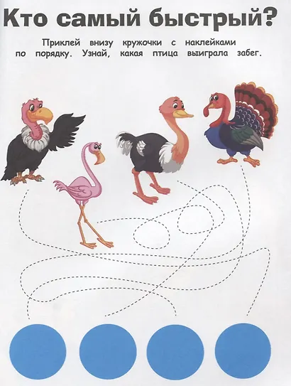 Птицы - фото 5