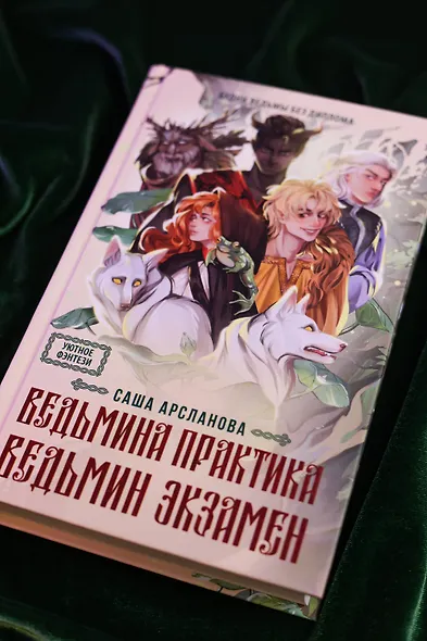 Ведьмина практика. Ведьмин экзамен. Дилогия в одном томе - фото 6