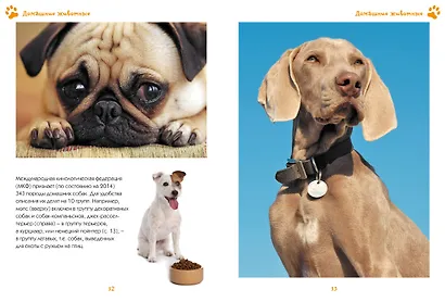 Моя любимая книга о животных - фото 7