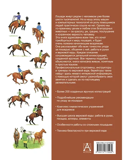 Лошади. Большая энциклопедия - фото 2