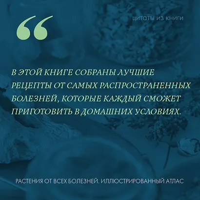 Растения от всех болезней. Иллюстрированный атлас - фото 7