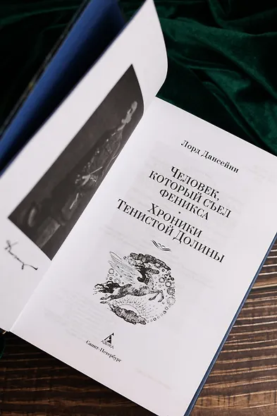 Человек, который съел феникса. Хроники Тенистой Долины - фото 11