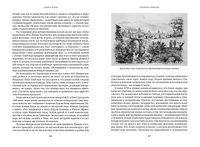 Открытие природы: Путешествия Александра фон Гумбольдта - фото 5