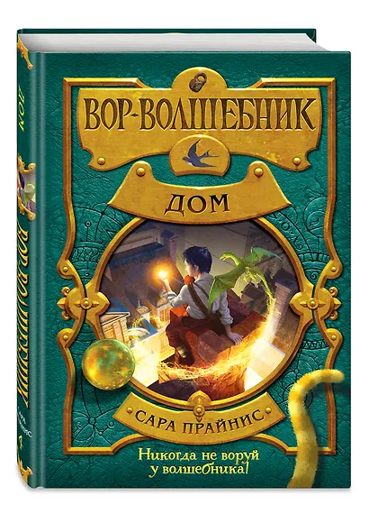 Вор-волшебник. Дом (#4) - фото 3