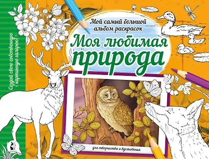 Моя любимая природа - фото 1