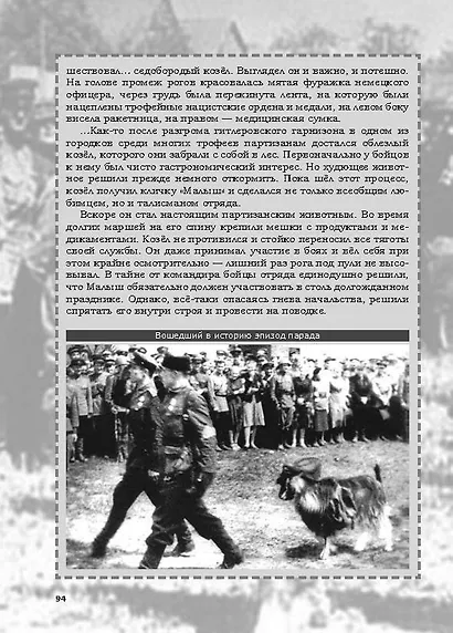Невыдуманные истории из русской истории: Трудные дороги к победе. Малоизвестные эпизоды Великой Отечественной - фото 10