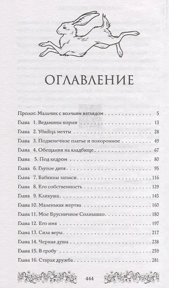 Брусничное Солнце - фото 8