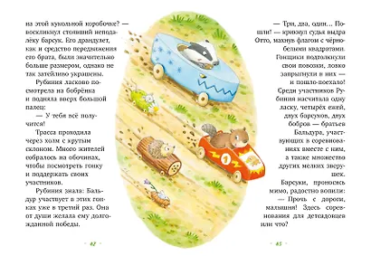 Рубиния чудесное сердце, смелая девочка из рода лесных эльфов. Свет волшебного камня - фото 7