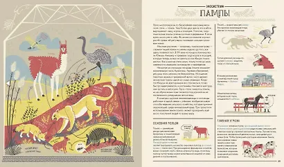 Большая маленькая планета. Экосистемы, или Как все живое взаимосвязано - фото 5