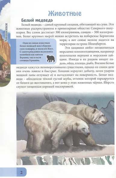 ЭНЦИКЛОПЕДИЯ. В МИРЕ ЗНАНИЙ. ХИЩНИКИ - фото 3