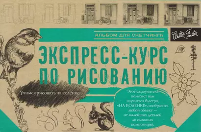 Экспресс-курс по рисованию. Альбом для скетчинга - фото 1