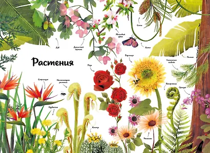 Большая книга о природе в картинках - фото 4