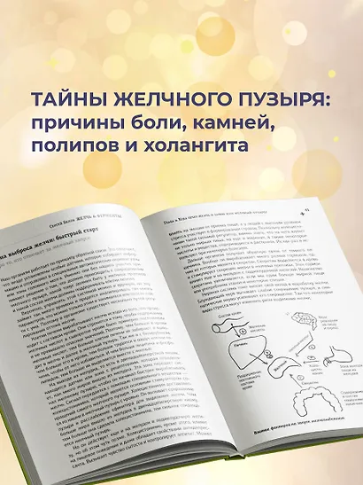 Желчь & ферменты - фото 5