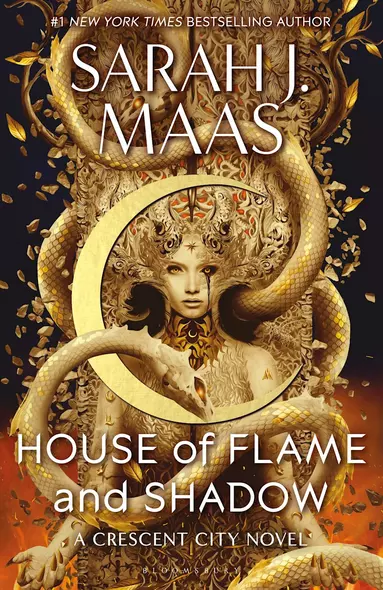 House of Flame and Shadow - фото 1