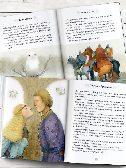 Сказки и мифы Северной Европы - фото 8