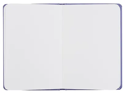 Скетчбук А5 64л "Van Gogh Сollection. Ирисы" 100г/м2, тв.обложка - фото 3