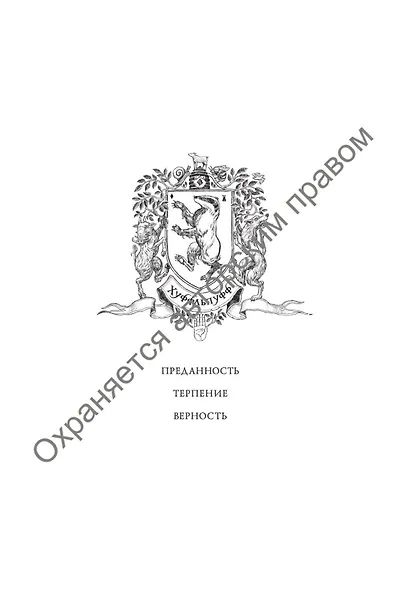 Гарри Поттер и Кубок Огня (Хуффльпуфф) - фото 3